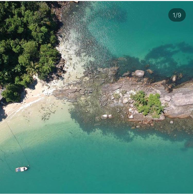 WhatsApp Image 2021-01-19 at 17.34.43.jpeg